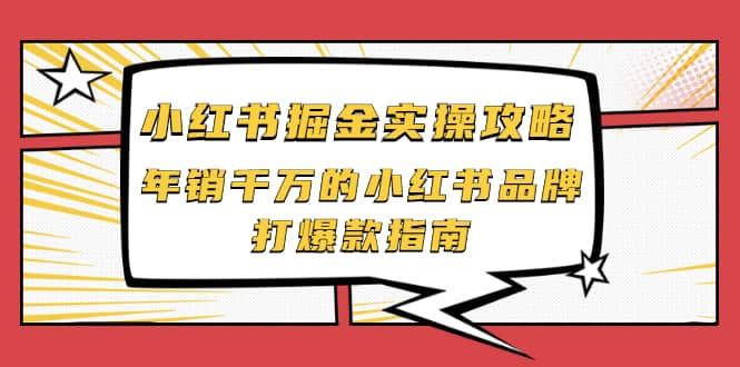 小红书掘金项目实操攻略，年销千万的小红书品牌打爆款指南-博学技术网